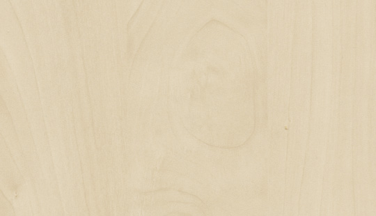 береза | Фото - 0